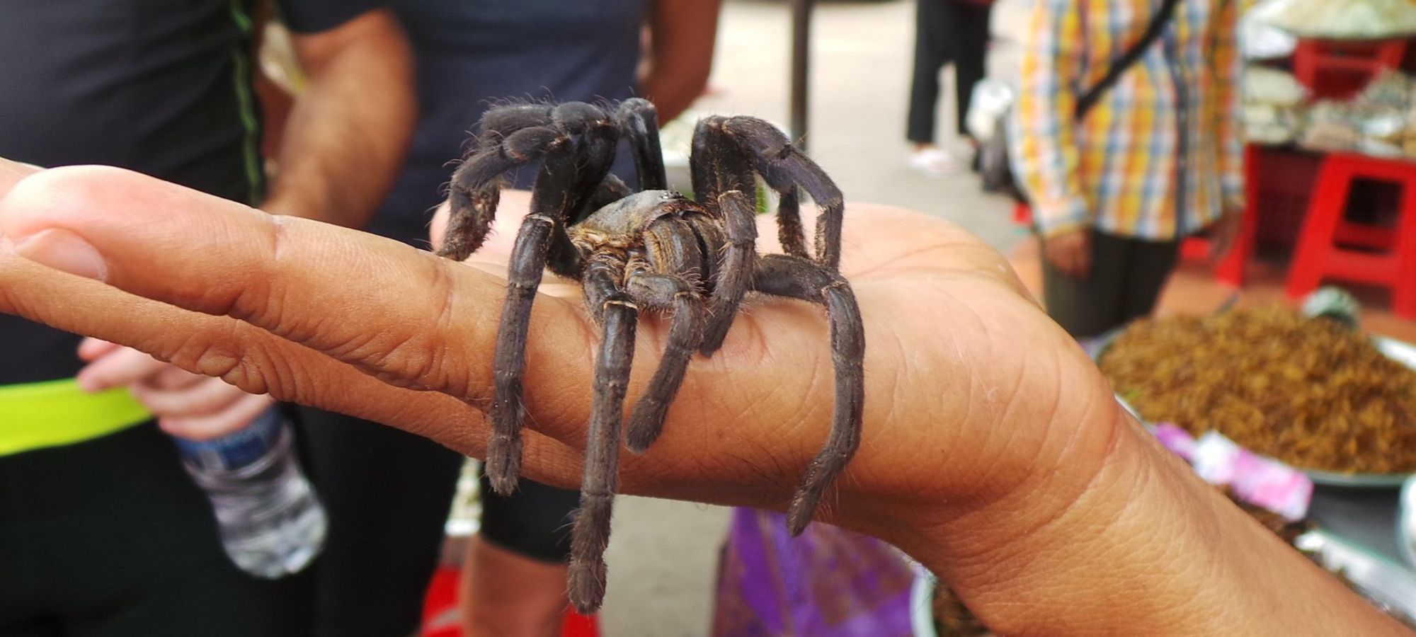 Photos from our Cambodia Cycling Holiday